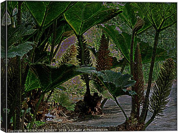 "FUNKY PLANT" Canvas Print by ROS RIDLEY