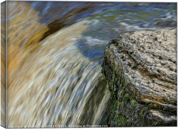 "THE DYNAMISM OF WATER" Canvas Print by ROS RIDLEY