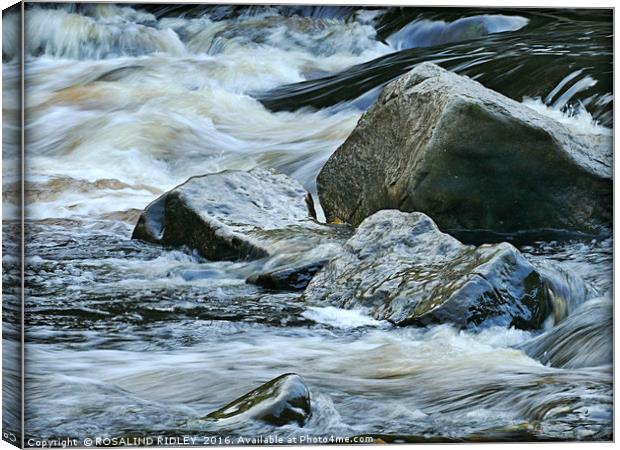 "WATER OVER ROCKS" Canvas Print by ROS RIDLEY