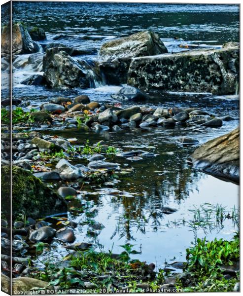 "REFLECTIONS AT THE ROCK POOL" Canvas Print by ROS RIDLEY