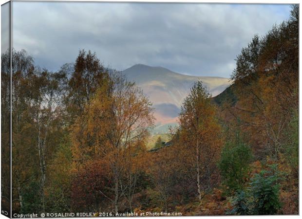 "AUTUMN IN THE ENGLISH LAKE DISTRICT" Canvas Print by ROS RIDLEY