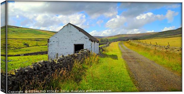 "DERELICT BARN ON THE MOORS OF UPPER TEESDALE" Canvas Print by ROS RIDLEY