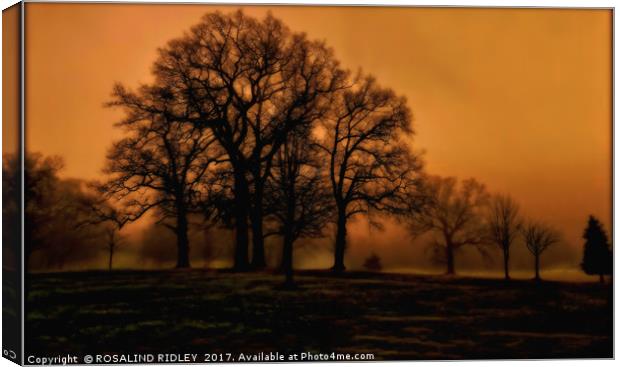 "EVENING LIGHT IN THE MISTY PARK" Canvas Print by ROS RIDLEY