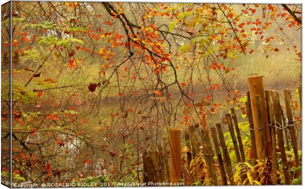 "AUTUMN MISTS AT THE RIVER SIDE" Canvas Print by ROS RIDLEY