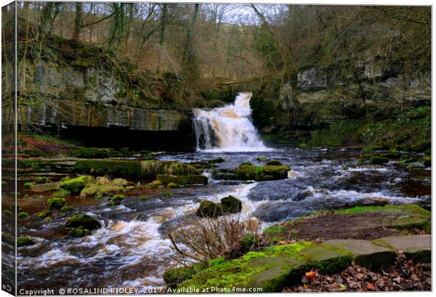 "WEST BURTON WATERFALL" Canvas Print by ROS RIDLEY