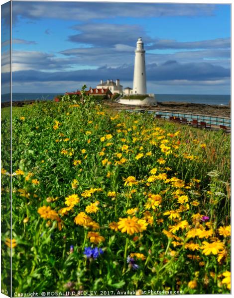 "Portrait of St.Mary's Lighthouse WhitleyBay" Canvas Print by ROS RIDLEY