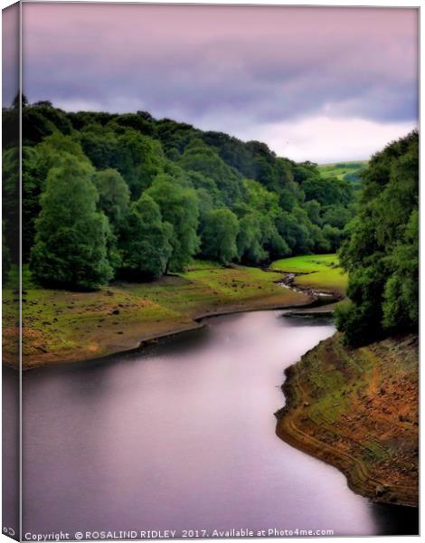 "Evening Light at Leighton Reservoir" Canvas Print by ROS RIDLEY