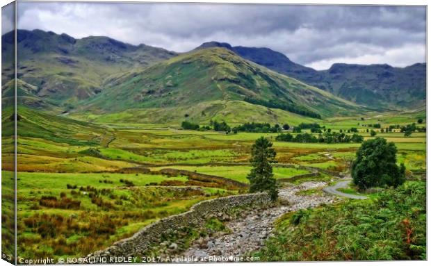 "Pathway through the mountains" Canvas Print by ROS RIDLEY