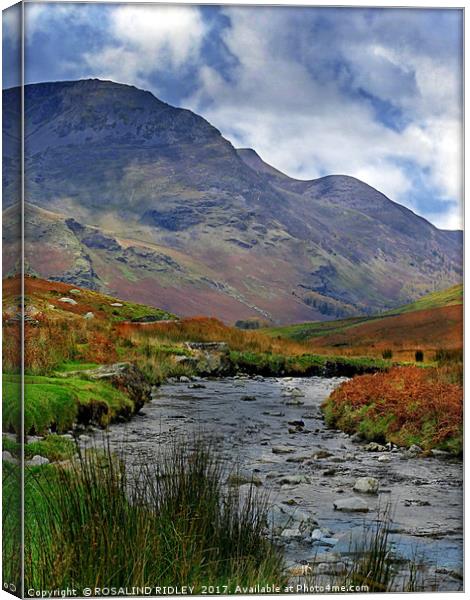 "Mountain stream" Canvas Print by ROS RIDLEY
