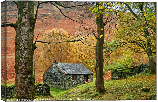 "Stone hideaway in the mountains" Canvas Print by ROS RIDLEY