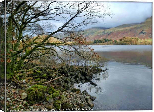 "Lake Thirlmere" Canvas Print by ROS RIDLEY