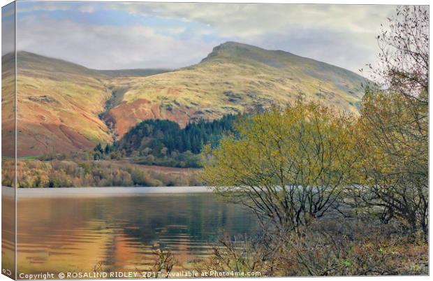 "Helvellyn" Canvas Print by ROS RIDLEY