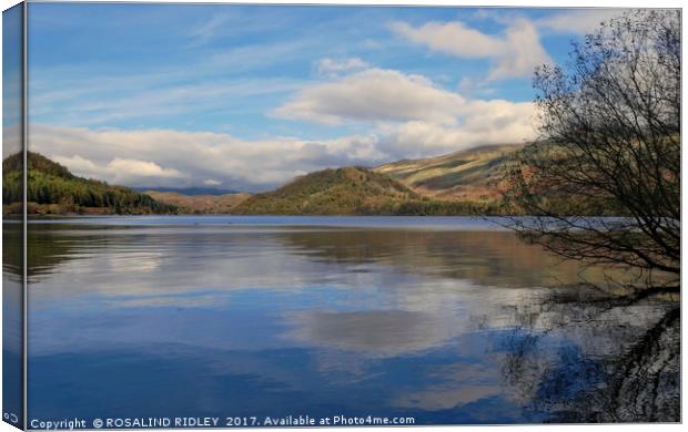 "Evening light and reflections on the lake 2" Canvas Print by ROS RIDLEY