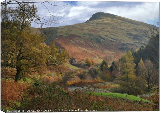 "Autumn at Helvellyn" Canvas Print by ROS RIDLEY