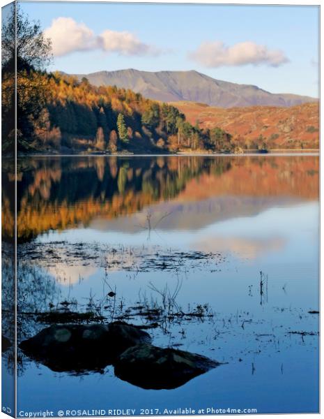 "Across Blencathra from Thirlmere" Canvas Print by ROS RIDLEY