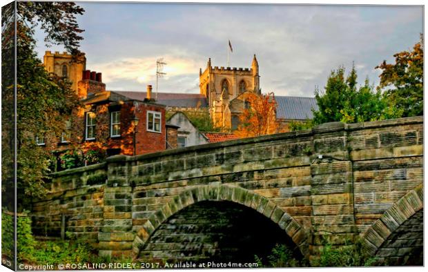 "Evening light over Ripon Cathedral" Canvas Print by ROS RIDLEY