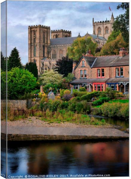 "River Ure and Ripon Cathedral" Canvas Print by ROS RIDLEY