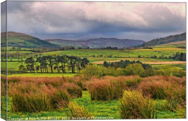 "Storms and high winds across Blencathra fells" Canvas Print by ROS RIDLEY