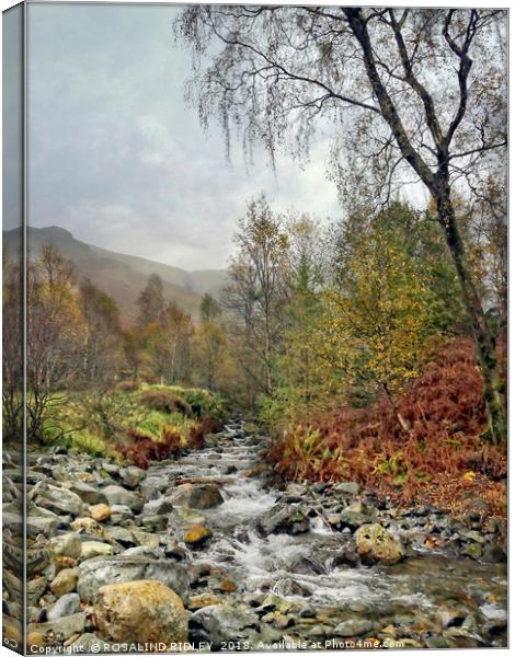 "Portrait of a Lakeland mountain stream" Canvas Print by ROS RIDLEY