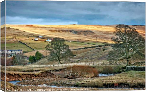"Evening sun across Weardale" Canvas Print by ROS RIDLEY