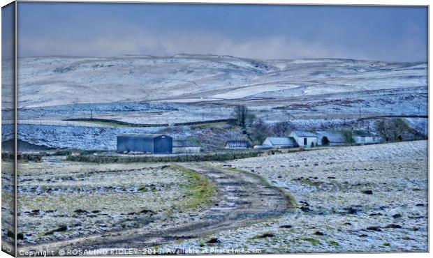 "Teesdale Winter" Canvas Print by ROS RIDLEY