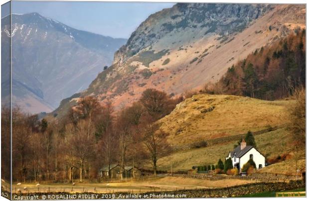 "Evening light Blencathra 2" Canvas Print by ROS RIDLEY