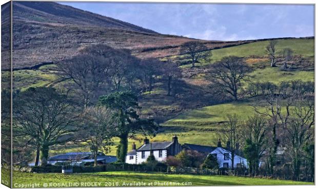 "Midday Winter sun on Loweswater Village" Canvas Print by ROS RIDLEY