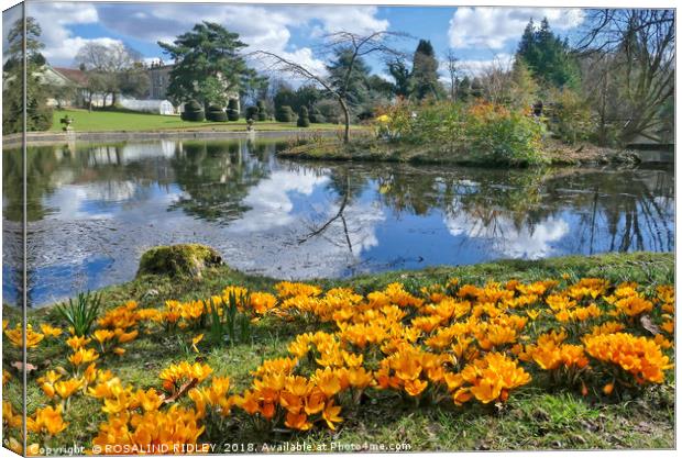 "Idyllic Afternoon at Thorp Perrow Arboretum" Canvas Print by ROS RIDLEY