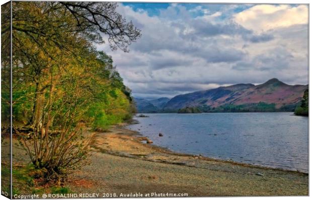 "Evening light at Derwent Water " Canvas Print by ROS RIDLEY