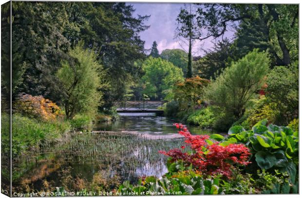 "Lush Spring foliage at Thorp Perrow" Canvas Print by ROS RIDLEY