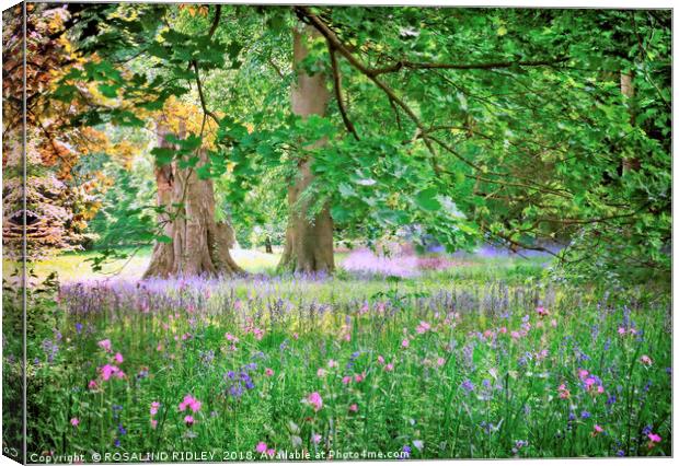 "Spring flowers at Thorp Perrow" Canvas Print by ROS RIDLEY