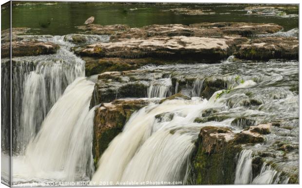 "The Falls" Canvas Print by ROS RIDLEY