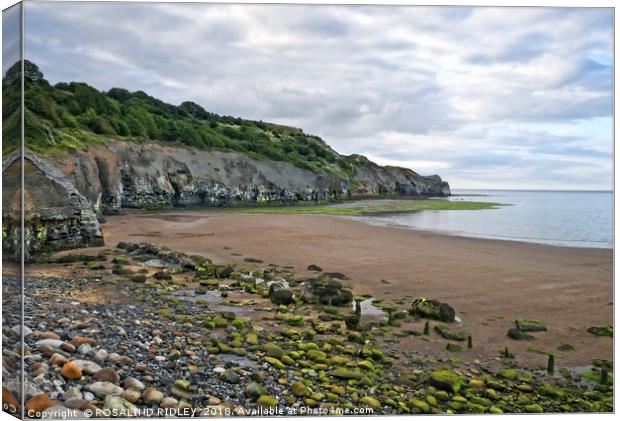 "Sandsend" Canvas Print by ROS RIDLEY