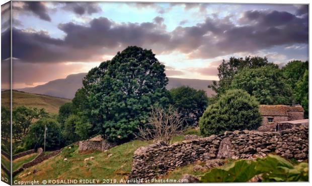 "Evening light on the secluded cottage" Canvas Print by ROS RIDLEY