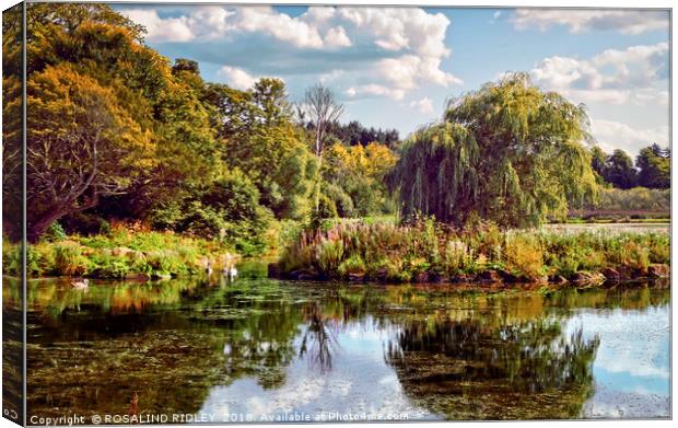 "Early Autumn reflections in the park lake" Canvas Print by ROS RIDLEY