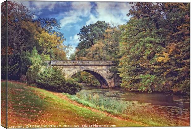 "Autumn sunshine at Wynyard" Canvas Print by ROS RIDLEY