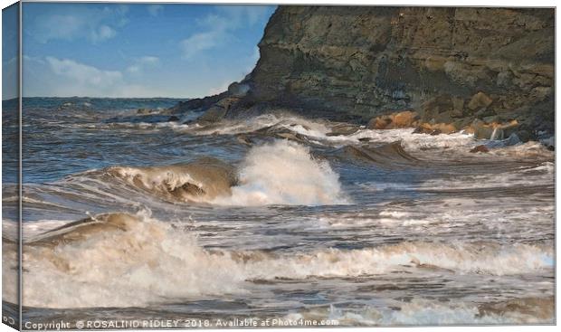 Sea and rock Canvas Print by ROS RIDLEY
