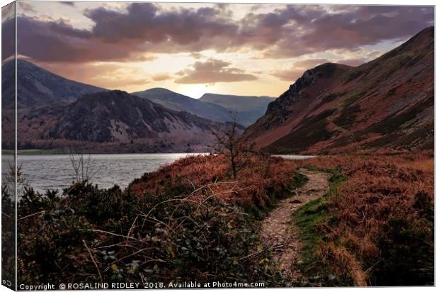 "Evening Light at Ennerdale water Canvas Print by ROS RIDLEY