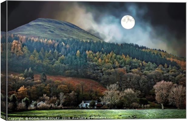 "It was a frosty moonlit night across the mountain Canvas Print by ROS RIDLEY
