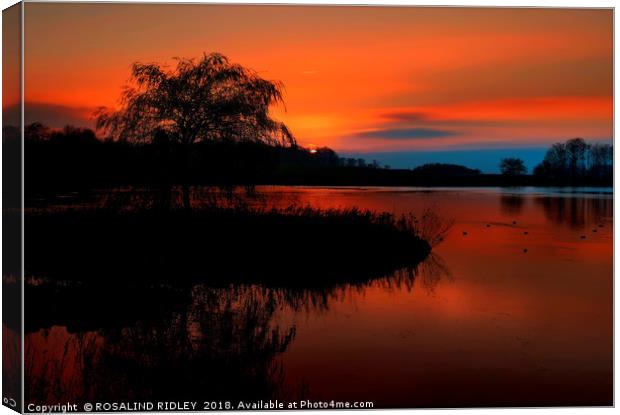 "Fiery sunset at the lake" Canvas Print by ROS RIDLEY