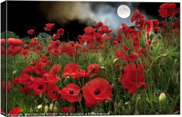 "Moonlit  Poppies" Canvas Print by ROS RIDLEY