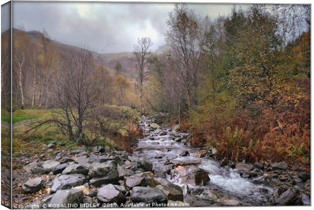 "Autumn mists in Thirlmere" Canvas Print by ROS RIDLEY