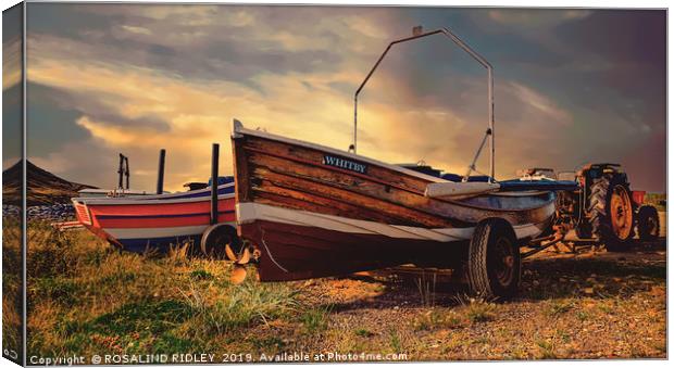 "Skinningrove Boats" Canvas Print by ROS RIDLEY