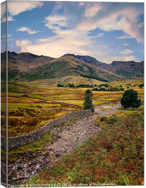 "Evening light across Great Langdale" Canvas Print by ROS RIDLEY