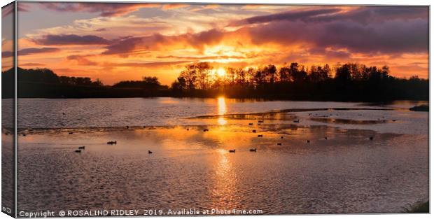 Hardwick park sunset Canvas Print by ROS RIDLEY