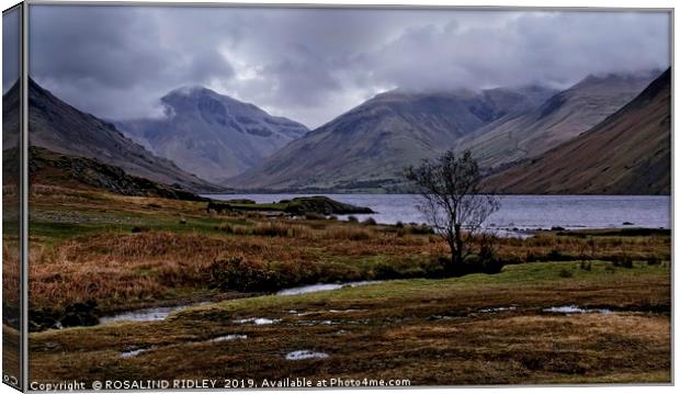 "March storms at Wastwater" Canvas Print by ROS RIDLEY