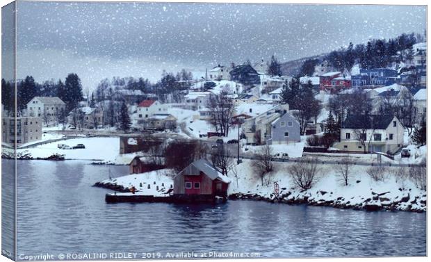 "Snow storm at Finnsnes" Canvas Print by ROS RIDLEY