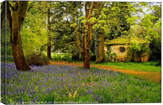 "Little Arbour  in the Bluebell wood" Canvas Print by ROS RIDLEY