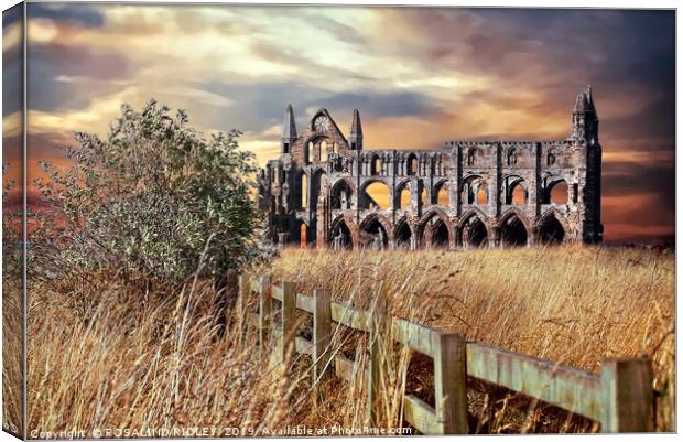 "breezy sunset at Whitby Abbey" Canvas Print by ROS RIDLEY