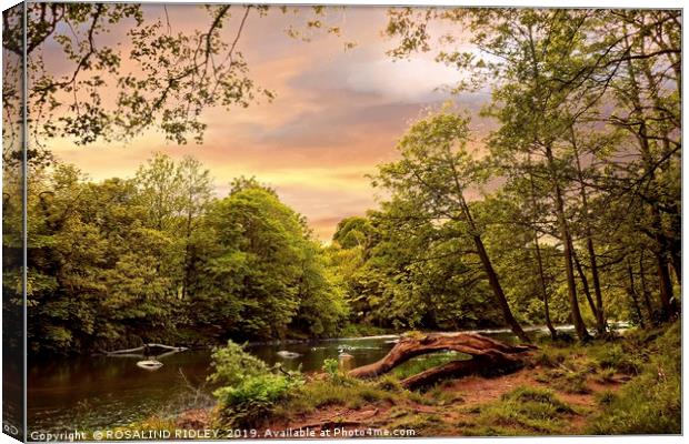 "Sunrise over the river Swale" Canvas Print by ROS RIDLEY